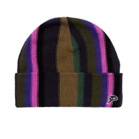 Frog Skateboards Vertical Striped Beanie