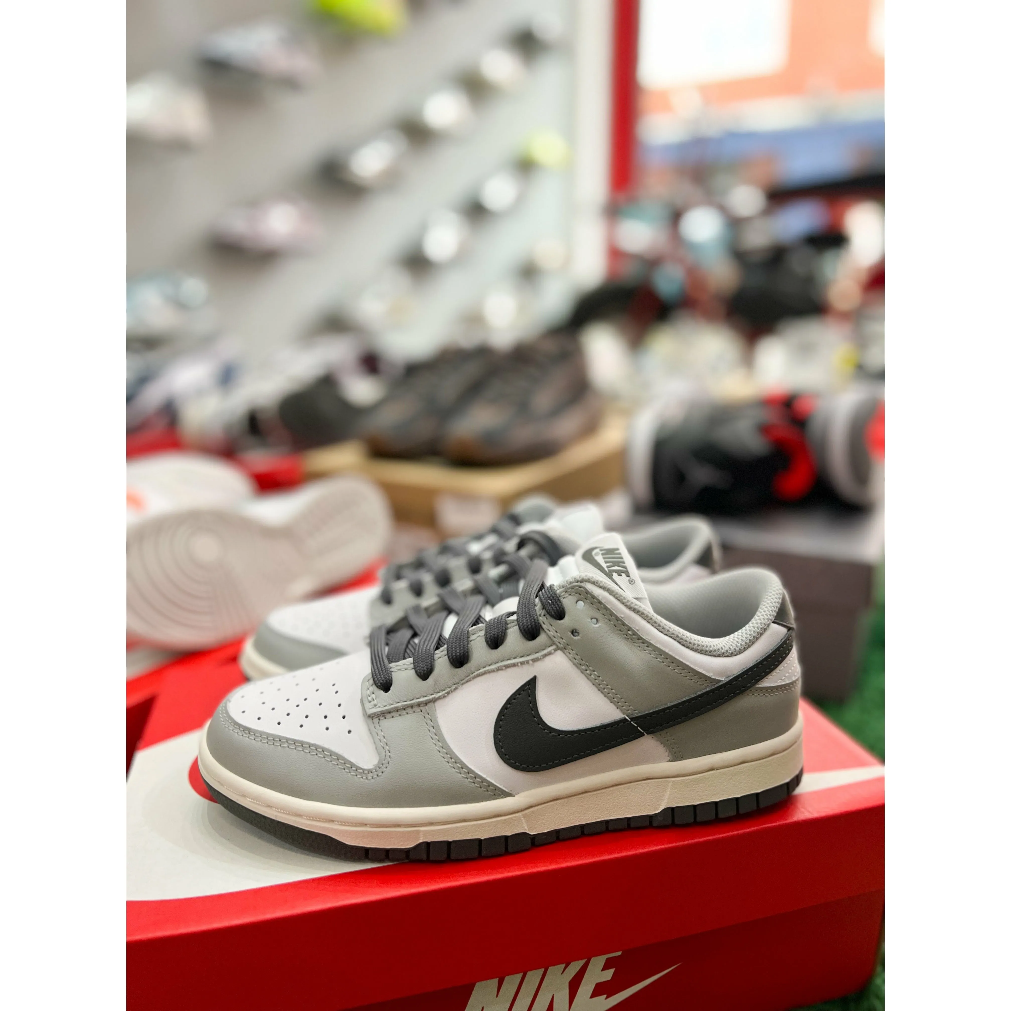 Nike Dunk Low Light Smoke Grey (W)